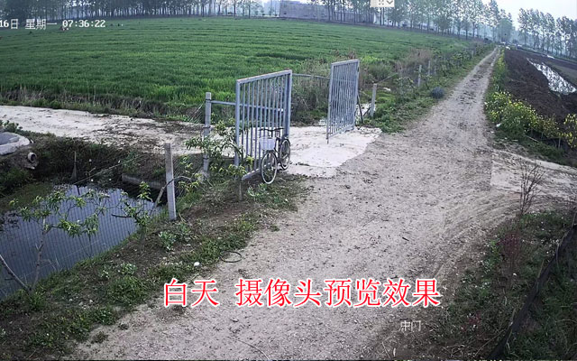 泗阳卢集金碧坊养殖厂
